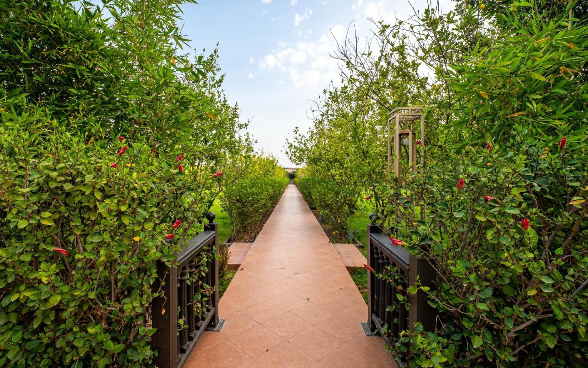 The Lemonary Marrakech Otel Ouled Moumen Dış mekan fotoğraf