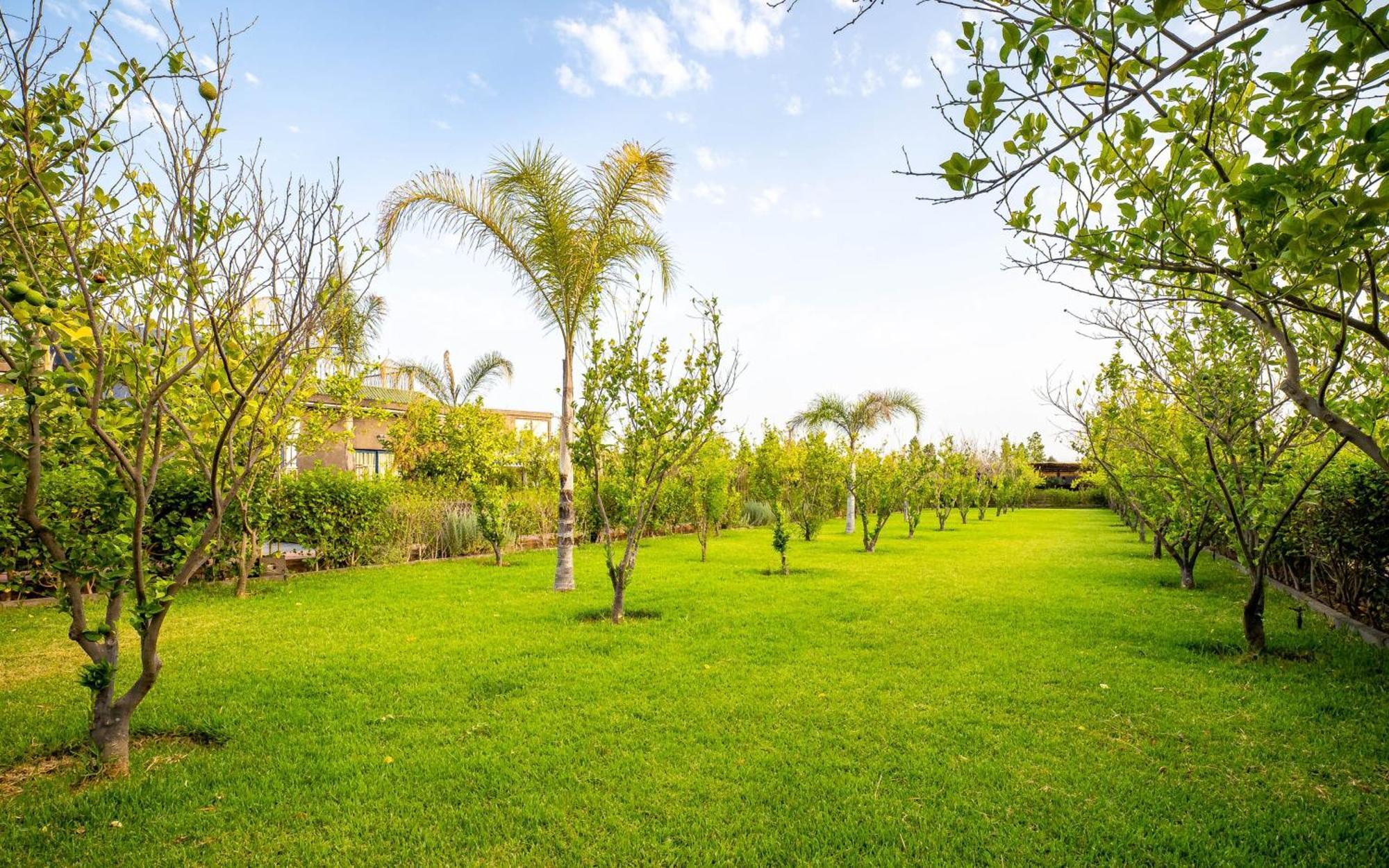 The Lemonary Marrakech Otel Ouled Moumen Dış mekan fotoğraf
