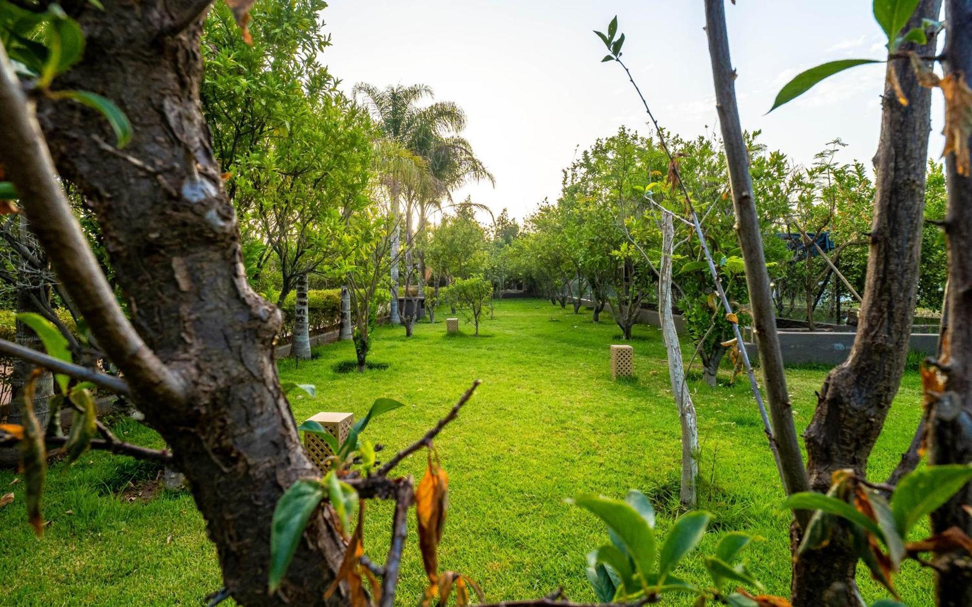 The Lemonary Marrakech Otel Ouled Moumen Dış mekan fotoğraf