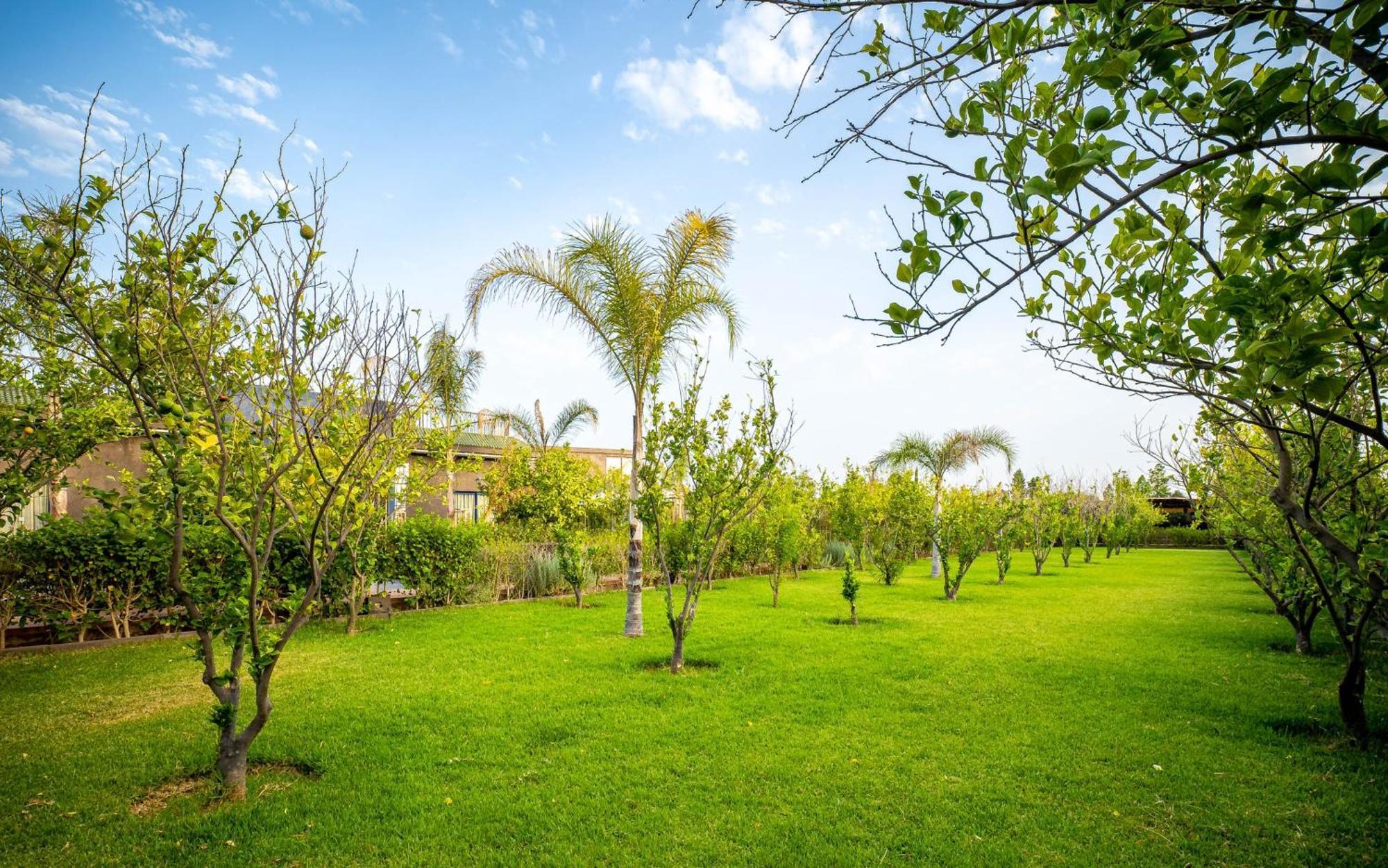 The Lemonary Marrakech Otel Ouled Moumen Dış mekan fotoğraf