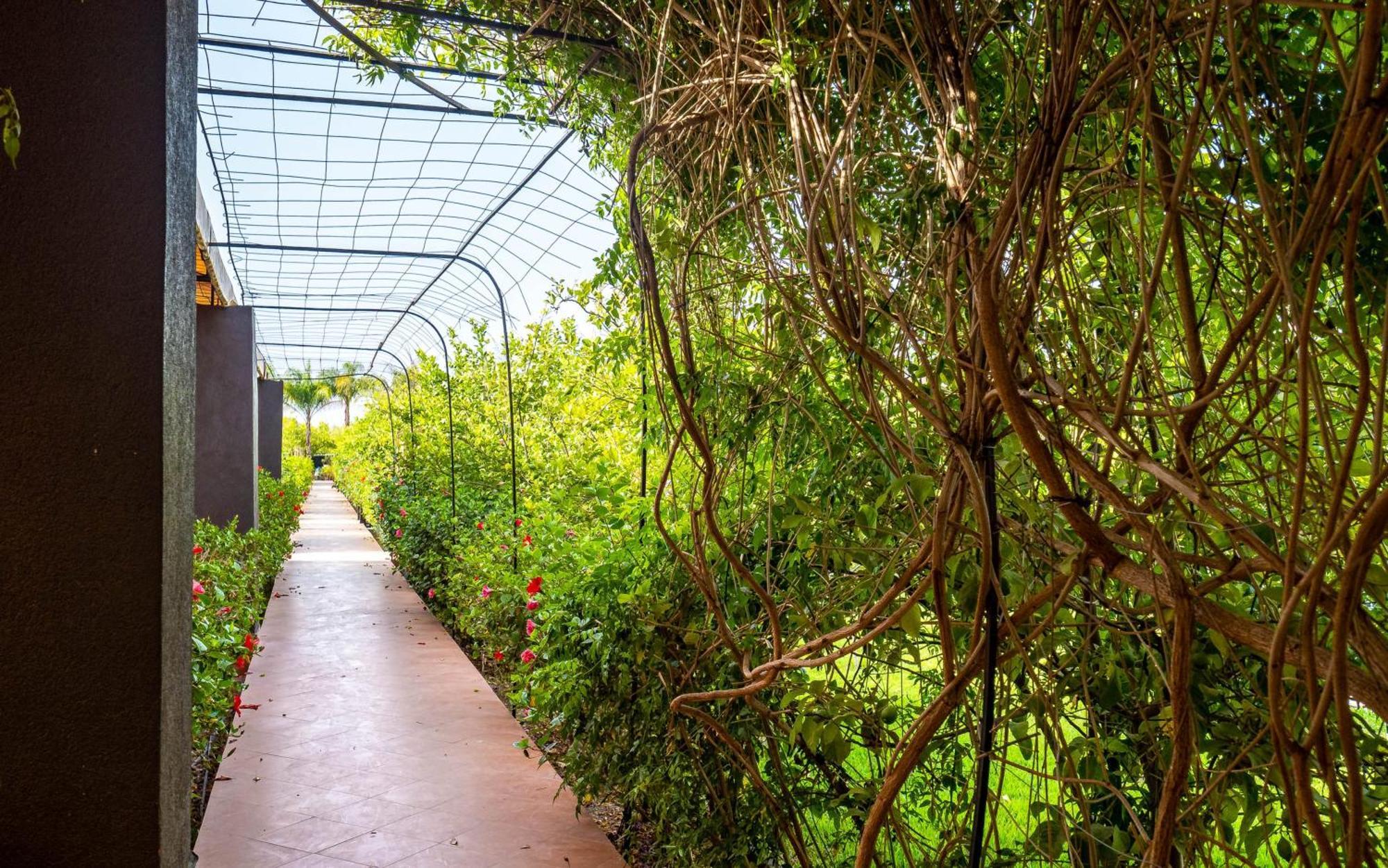 The Lemonary Marrakech Otel Ouled Moumen Dış mekan fotoğraf